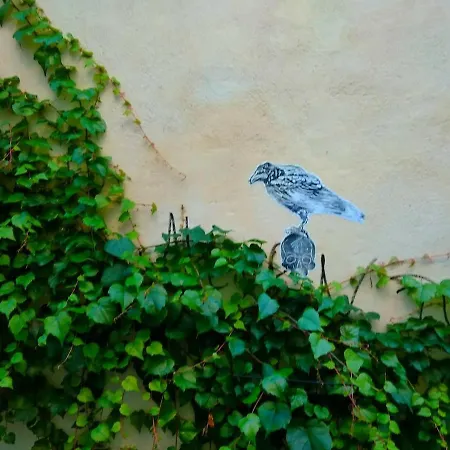 Au Rdc Centre Historique Apartment