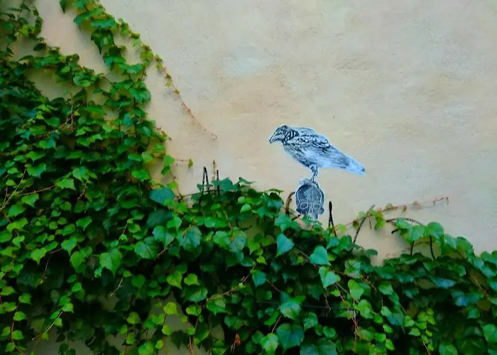 Au Rdc Centre Historique Apartment